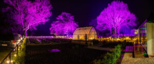 Familiefeest Van de Vin licht effect op bomen